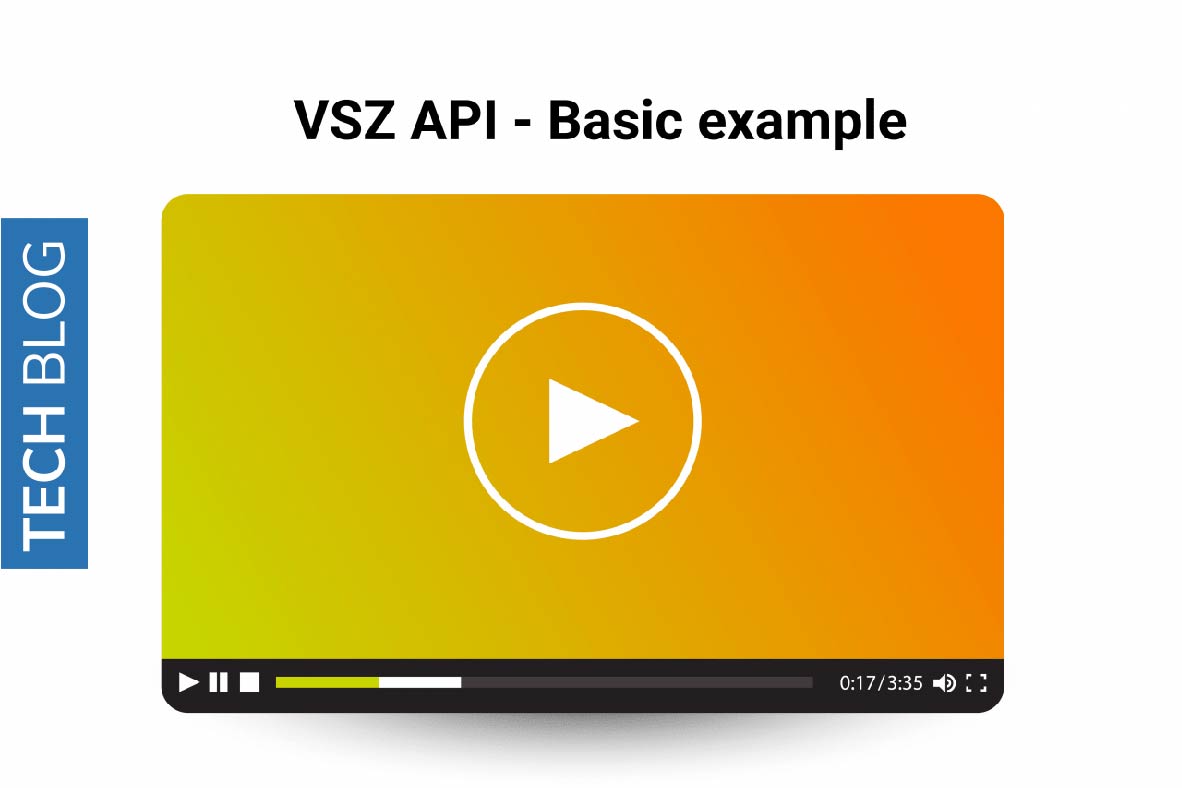VSZ API - Basic Example