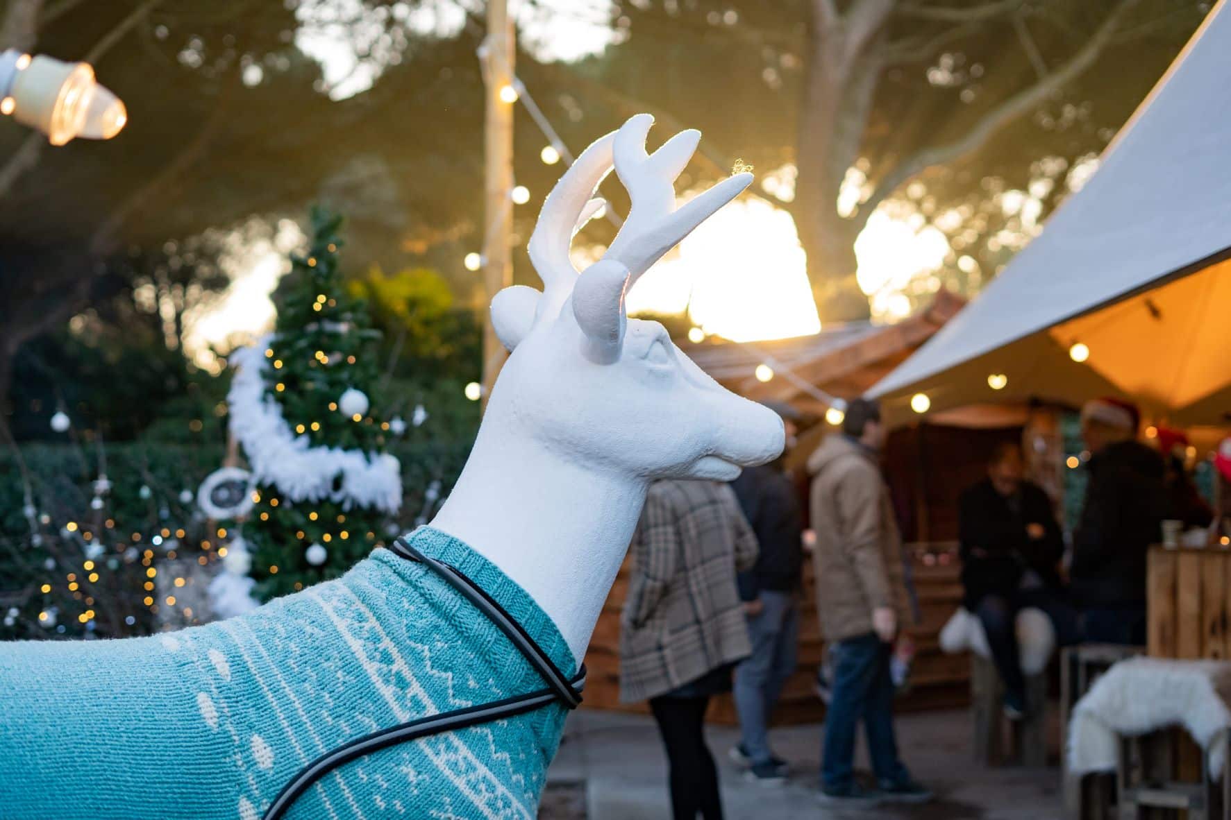 X-Mas Give Back event