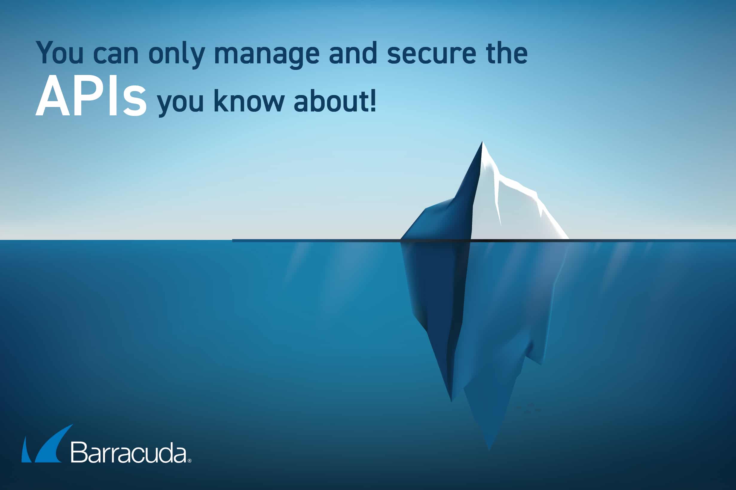 API-Security - Barracuda