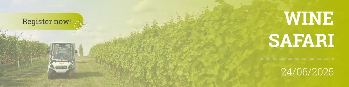 Wine safari